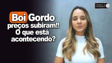 Boi gordo com bons resultados nos preços. O que está acontecendo? Isabella Camargo comenta