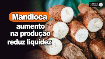 Mandioca: aumento na produção reduz liquidez na fécula e na farinha, informa Fábio Isaías Felipe