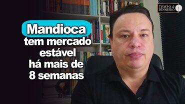Mandioca tem mercado estável há mais de 8 semanas, informa Fábio Isaías Felipe, do CEPEA