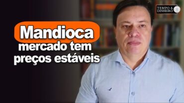 Mandioca: mercado tem preços estáveis, informa Fábio Isaías Felipe, do CEPEA
