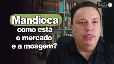 Mandioca: saiba como está o mercado e a moagem da raiz com informações de Fábio Isaías Felipe