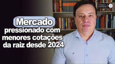 Mandioca: mercado pressionado com menores cotações da raiz desde 2024, informa Fábio Isaías Felipe