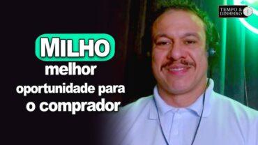 Milho: melhor oportunidade para o comprador e oferta deve aumentar, informa Robson Polotto