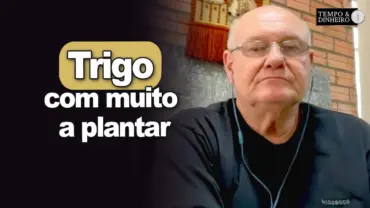 Trigo com muito a plantar, Vlamir Brandalizze analisa