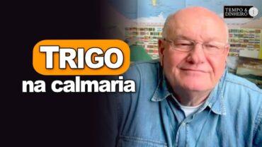 Trigo na calmaria, explica Brandalizze