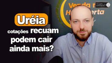 Uréia: cotações recuam após disparada com conflito no Oriente Médio. Podem cair ainda mais?
