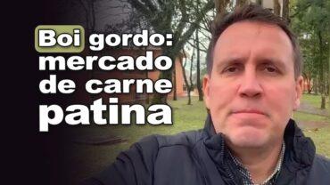 Boi gordo: pressionado pelo cenário externo incerto! Confira com Thiago Bernardino