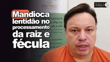 Mandioca: lentidão no processamento da raiz e fécula! Confira com Fábio Isaias