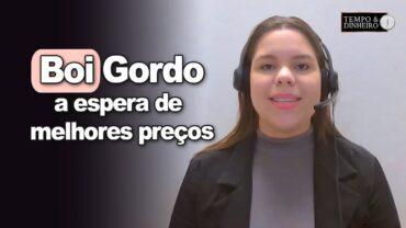 Boi gordo: pecuaristas seguram lotes a espera de melhores preços, informa Isabella Zavatti, do CEPEA