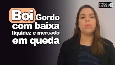 Boi gordo com baixa liquidez com tarifaço de Trump. Mercado de carne em queda, Informa I. Zavatti