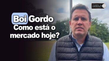 Boi gordo tem mercado ajustado, baixa liquidez e escalas alongadas, informa T. Bernardino, do CEPEA