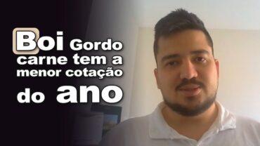 Boi gordo: carne tem a menor cotação do ano e SP tem negócios em até R$294@, informa Luis Gustavo