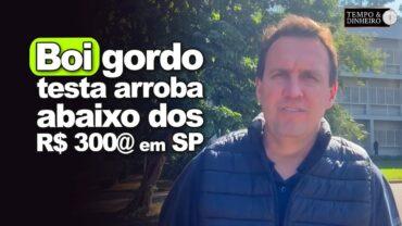 Boi gordo testa arroba abaixo dos R$ 300@ em SP com fracas vendas de carne e indefinição das tarifas