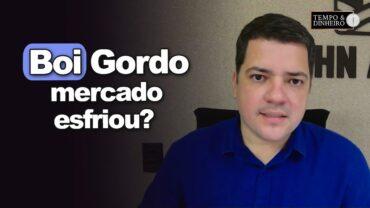 Boi gordo: mercado esfriou? E os embarques de carne? Hyberville Neto comenta