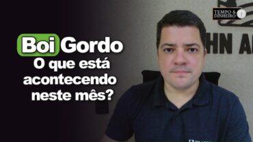 Boi gordo sem fôlego? O que está acontecendo neste mês de julho? Hyberville Neto comenta