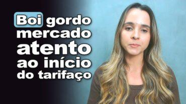 Boi gordo: mercado atento ao final de mês e início do tarifaço. Acompanhe Isabella Camargo