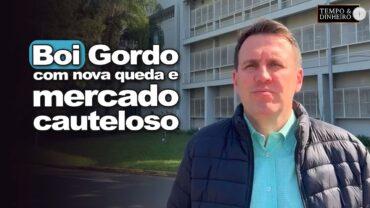 Boi gordo abre semana com nova queda pressionado pelas tarifas de Trump e mercado cauteloso