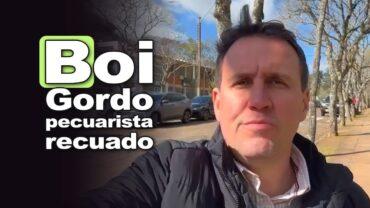 Boi gordo: pecuarista recuado e comprador cauteloso, informa Thiago Bernardino, do CEPEA