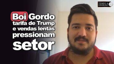 Boi gordo: tarifa de Trump e lenta venda de carne no mercado doméstico pressionam setor
