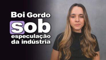 Boi gordo sob especulação da indústria e cautela com a tarifas de Trump, informa Isabella Camargo