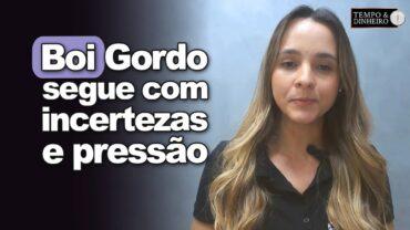 Boi gordo segue com incertezas e pressão nos preços, analisa Isabella Camargo