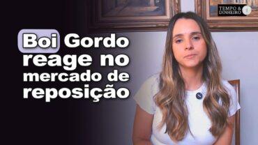 Boi gordo tem preços de lado mas com reação no mercado de reposição, informa Isabella Camargo