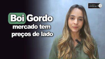 Boi: mercado de reposição tem preços de lado depois das altas do fim de junho