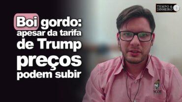 Boi gordo: apesar da tarifa de Trump preços podem subir neste segundo semestre?