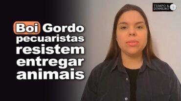 Boi gordo: pecuaristas resistem entregar animais oferta da pela indústria, informa Isabela Zavatti