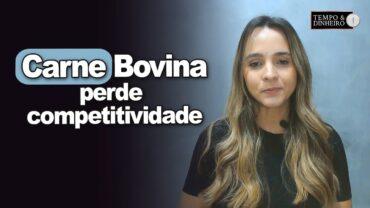 Carne bovina perde competitividade em comparação as de aves e de suíno, informa Isabella Camargo