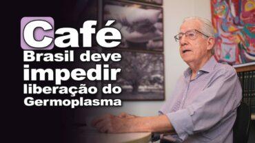 Brasil deve impedir liberação do Germoplasma do café para outros países, comenta Eduardo Carvalhaes