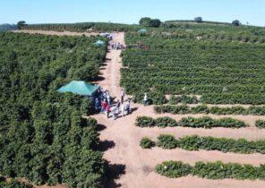 Nota Oficial do CNC – Preservação do Material Genético dos Bancos Ativos de Germoplasma do Brasil