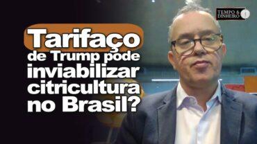 Tarifaço de Trump pode inviabilizar citricultura no Brasil? Quais impactos no setor?