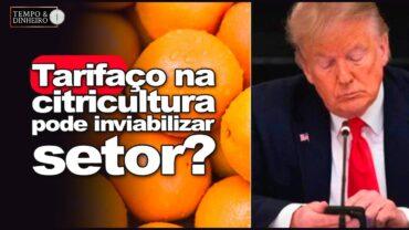 Tarifaço de Trump pode inviabilizar citricultura no Brasil? Quais impactos no setor?
