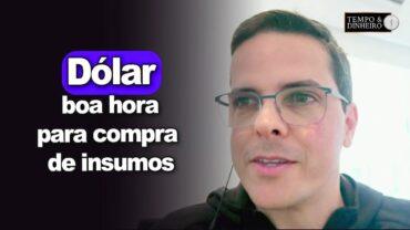 Dólar: boa hora para compra de insumos. Não é hora de vender, comenta Maurício Bellinelo