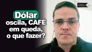 Café em queda. Dólar oscila. O que fazer? Chorar o “leite derramado”? Maurício Belinello comenta