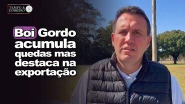 Boi gordo sente pressão das tarifas e acumula quedas, mas tem destaque na exportação