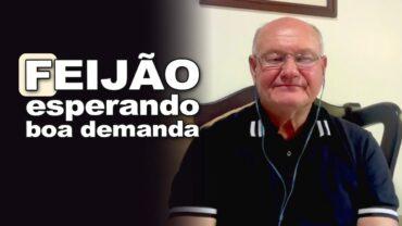 Feijão esperando boa demanda, afirma o consultor Vlamir Brandalizze e explica o mercado