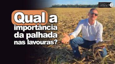 Agricultura protegida: A. Gazolla alerta para importância da palhada para manter a umidade do solo