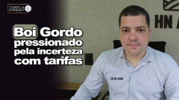 Boi gordo tem bons volumes exportados, mas mercado segue pressionado pela incerteza com tarifas