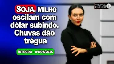 Soja e milho oscilam. Café perde mais em NY. Dólar sobe. Frio congelante abaixo de zero no Sul