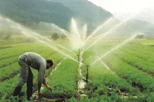 IMBRÓGLIO DA ENERGIA E AGRICULTURA IRRIGADA