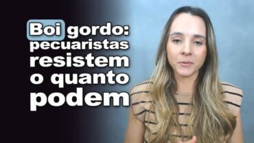 Boi gordo: pecuaristas resistem o quanto podem com pressão da indústria, informa Isabella Camargo