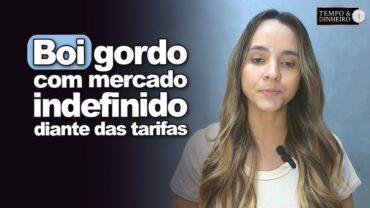 Boi gordo com mercado indefinido diante das tarifas e pressão da indústria