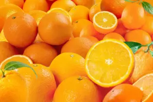 CITROS/CEPEA: Temporada 25/26 de exportação começa em queda; envios aos EUA e Europa se igualam