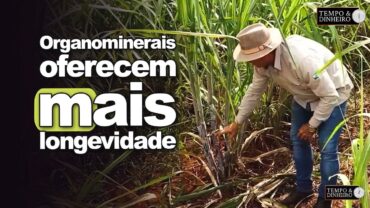 Lottus BioSoluções: maior aproveitamento dos nutrientes garante até 15 safras com a mesma cana