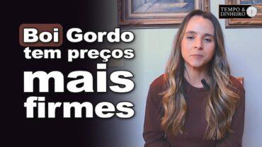 Boi gordo tem preços mais firmes e pecuaristas esperam altas, analisa Isabella Camargo