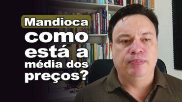 Mandioca: Média de preços recua para o menor patamar em 12 meses, informa Fábio Isaías Felipe