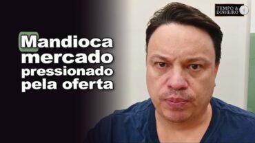 Mandioca: mercado segue pressionado pela oferta e baixa demanda, informa Fábio Isaías Felipe