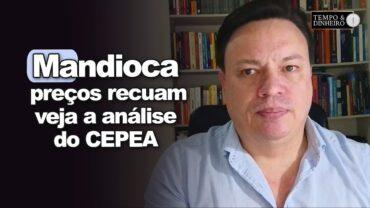 Mandioca: preços recuam com avanço da comercialização, informa Fabio Isaías Felipe, do CEPEA